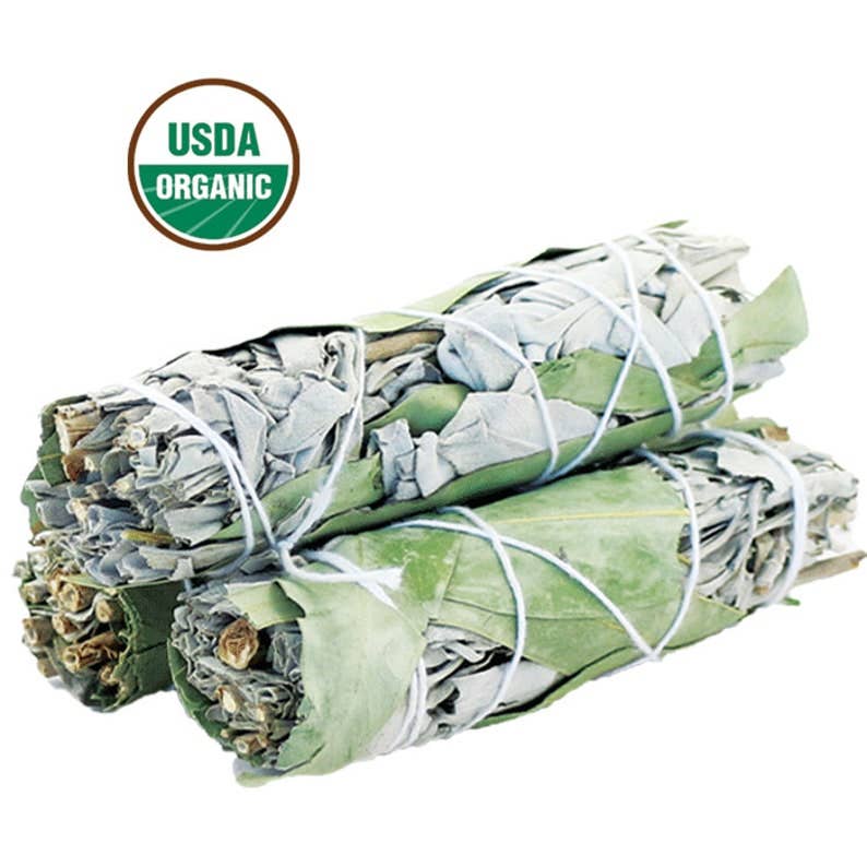 Organic White Sage & Eucalyptus Smudge Stick product image