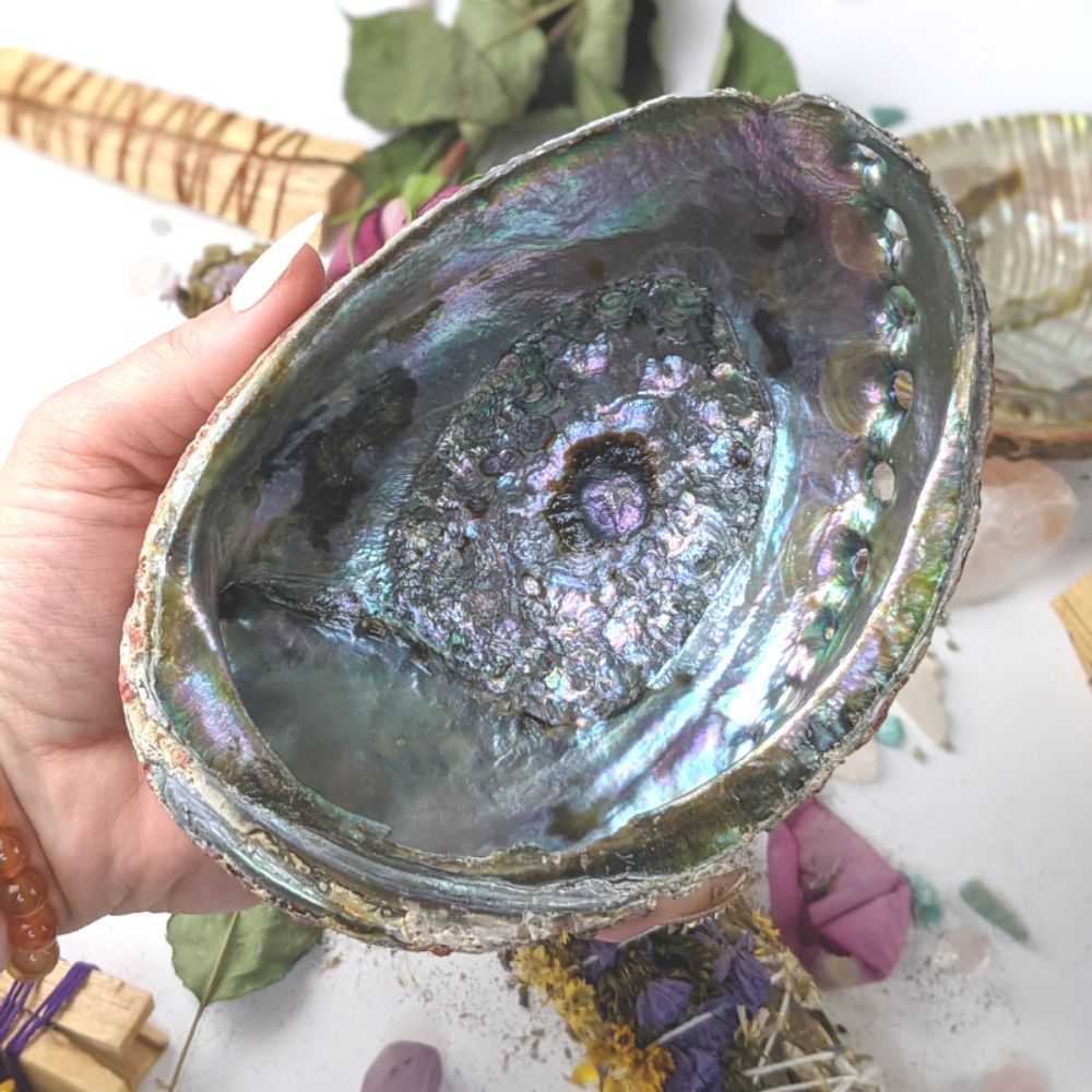 abalone smudging shell 5-7 inch ritual product wholesale Canada