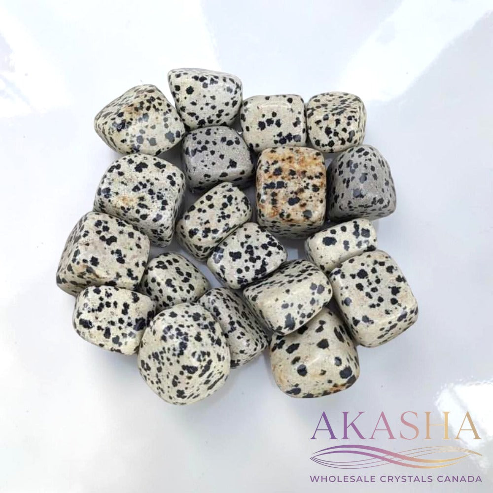 Dalmatian Jasper Tumbles - Zen Collection