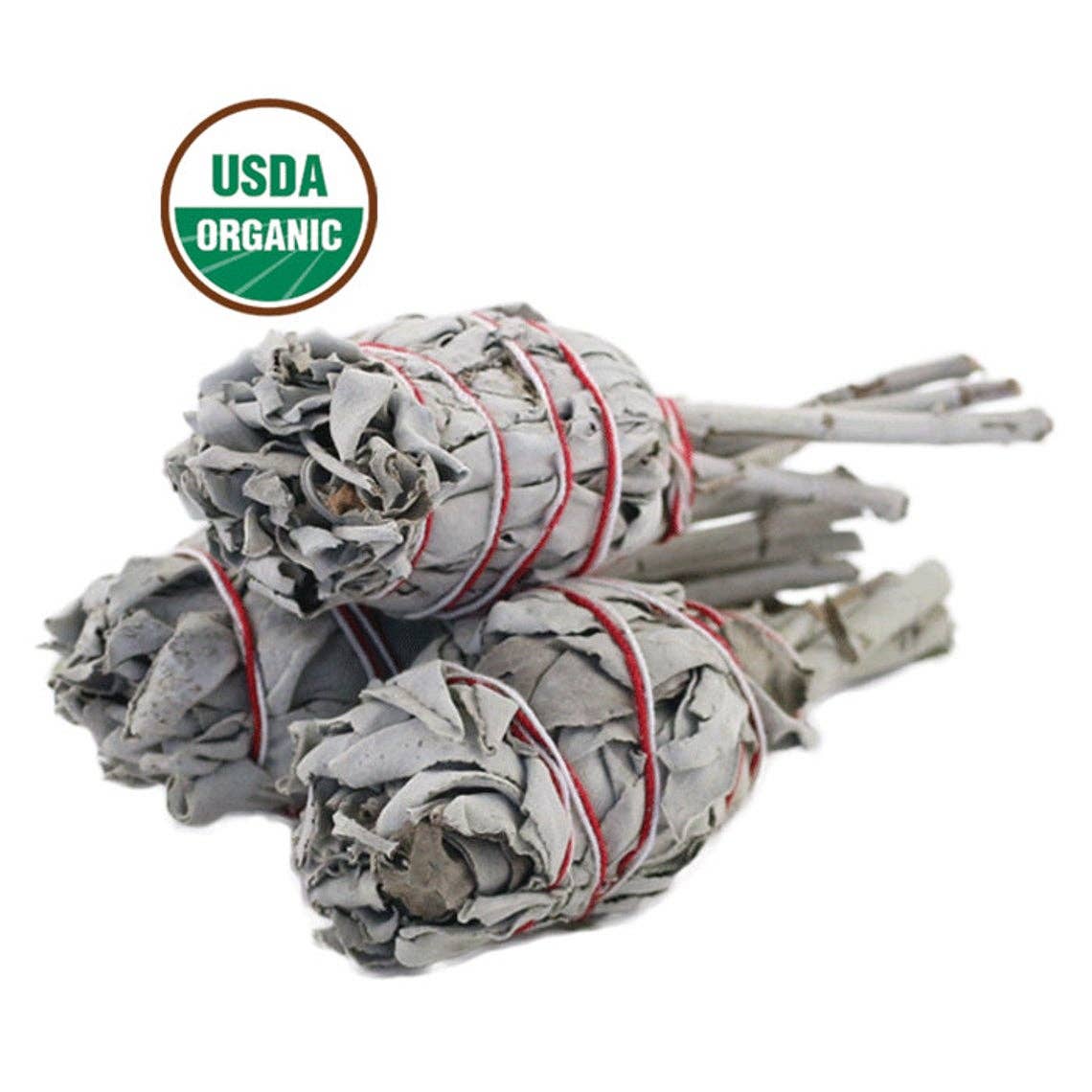Organic California White Sage Torch product image