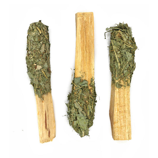 Palo Santo Pops - Dipped Eucalyptus Sage (3-4 in.) product image