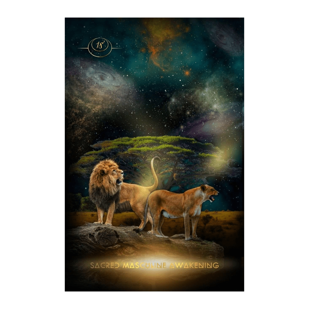 Creatrix Awakened Oracle Deck by Shannon Van Den Berg oracle card deck