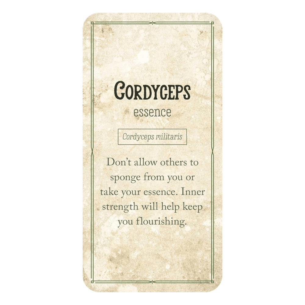 Mushroom Affirmations by NICOLA. MCINTOSH oracle card deck