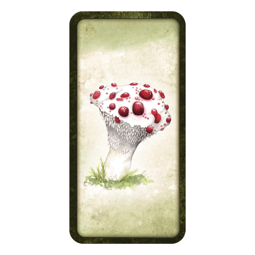 Mushroom Affirmations by NICOLA. MCINTOSH oracle card deck