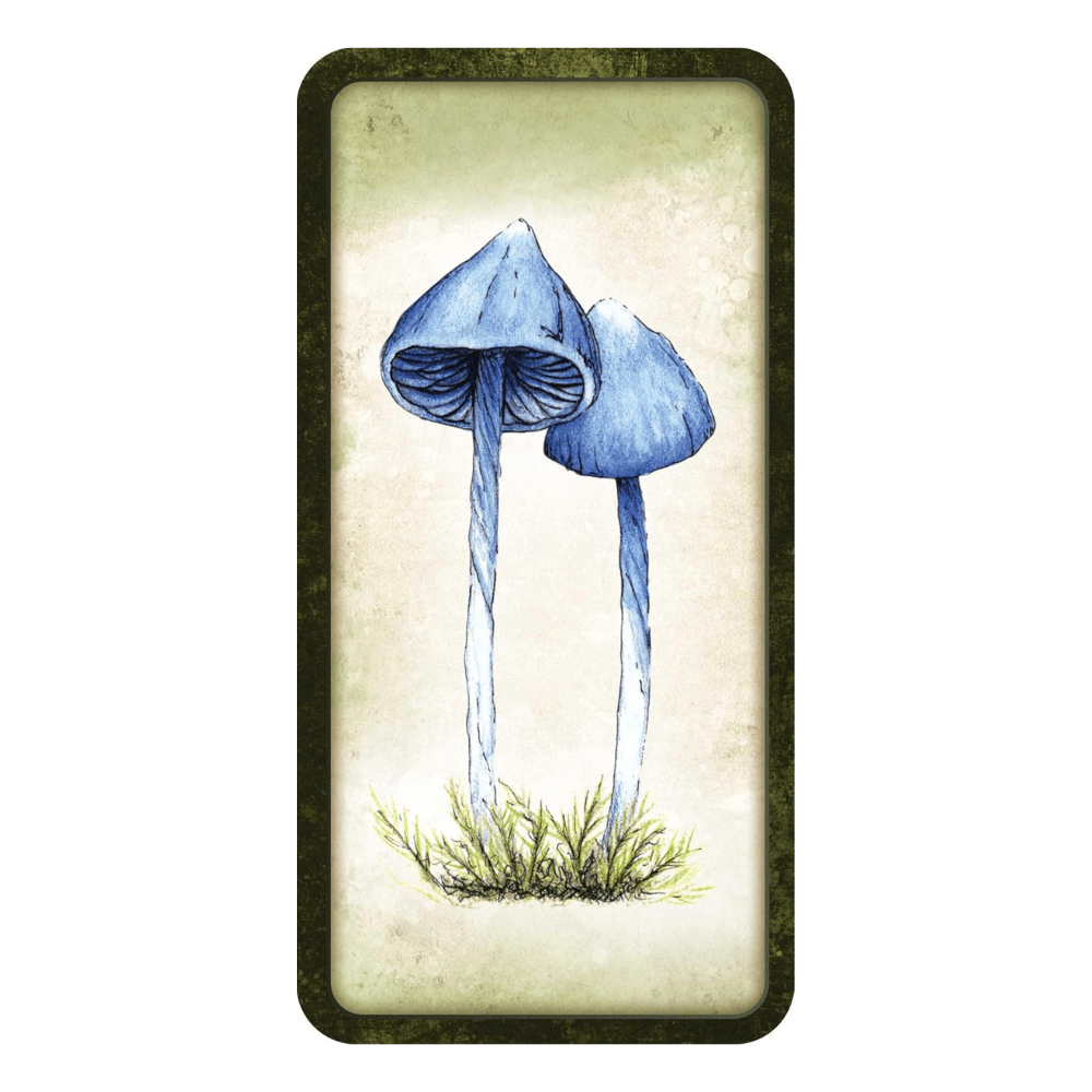 Mushroom Affirmations by NICOLA. MCINTOSH oracle card deck