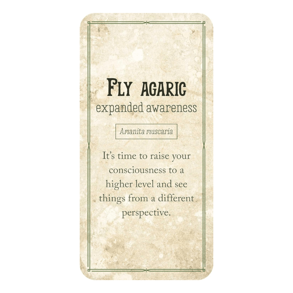 Mushroom Affirmations by NICOLA. MCINTOSH oracle card deck