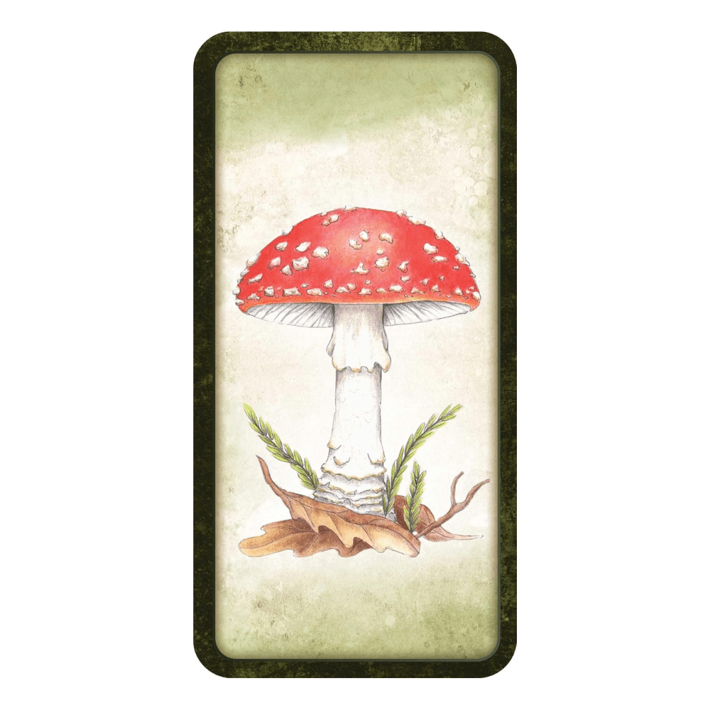 Mushroom Affirmations by NICOLA. MCINTOSH oracle card deck