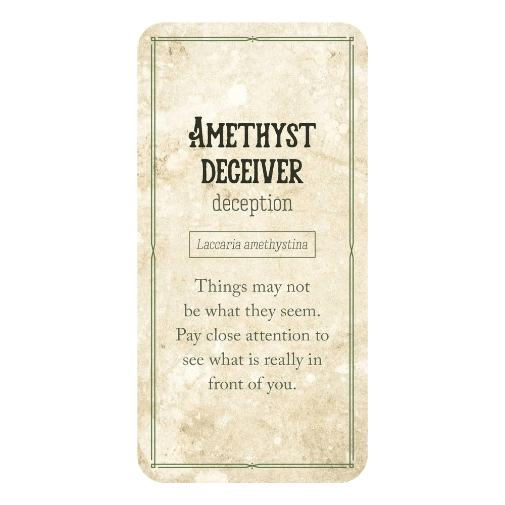 Mushroom Affirmations by NICOLA. MCINTOSH oracle card deck