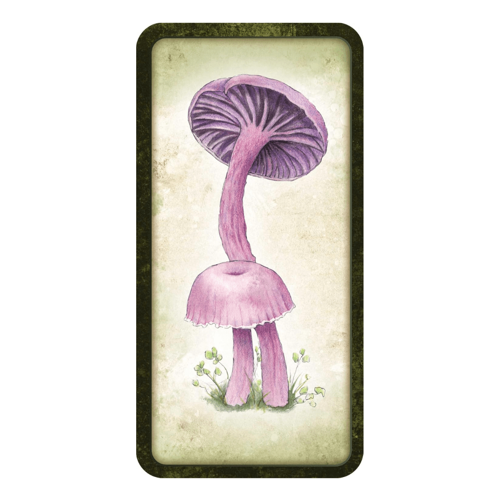 Mushroom Affirmations by NICOLA. MCINTOSH oracle card deck