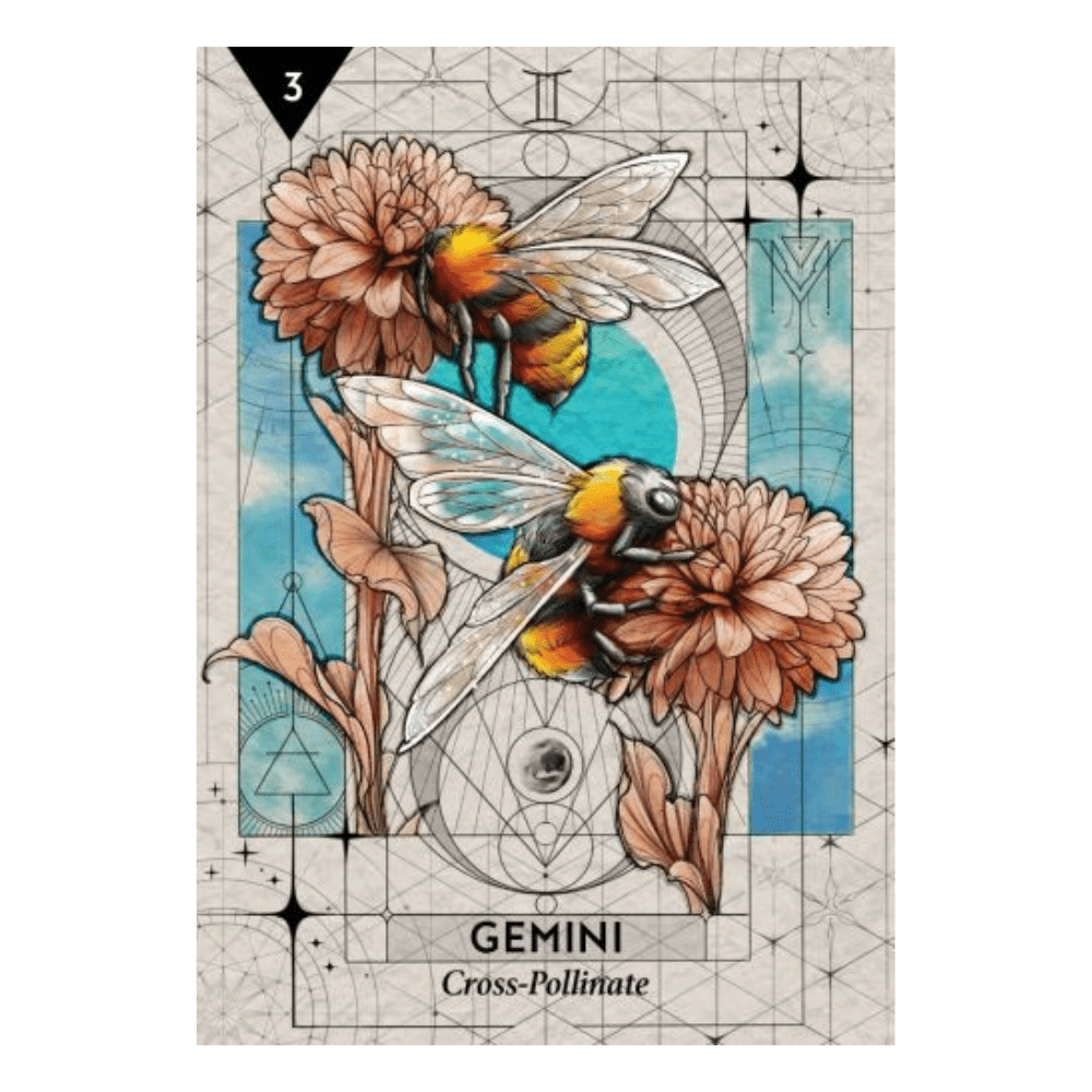 Starcodes Astro Oracle by Heather Roan Robbins oracle card deck