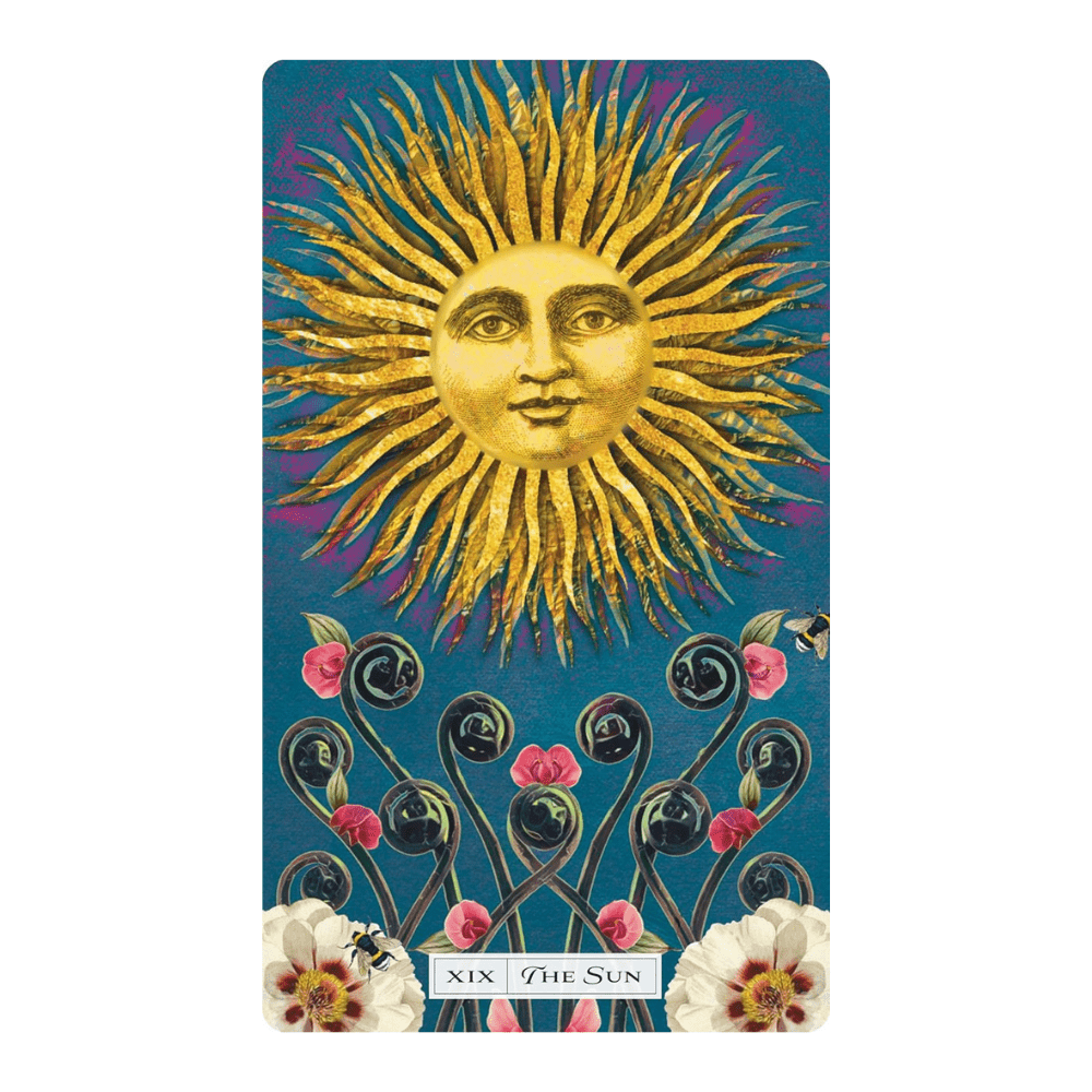 Tarot of the Cosmic Seed by Lalania Simone tarot deck
