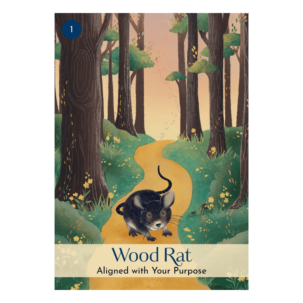 The Chinese Five Elements Oracle by Vicki Iskandar oracle card deck