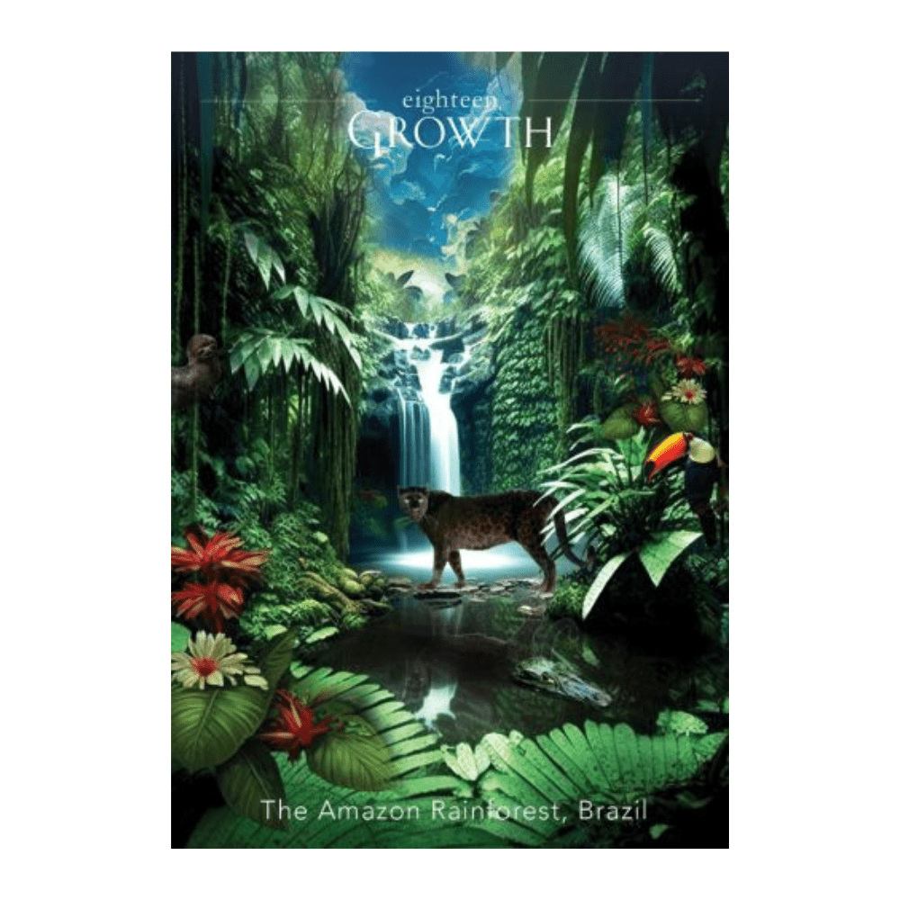 The Time Traveler's Oracle by Denise Linn oracle card deck