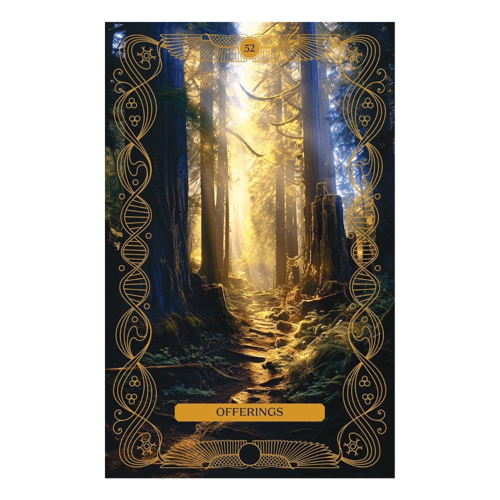 What We've Forgotten Oracle Deck by Amy Miranda oracle card deck