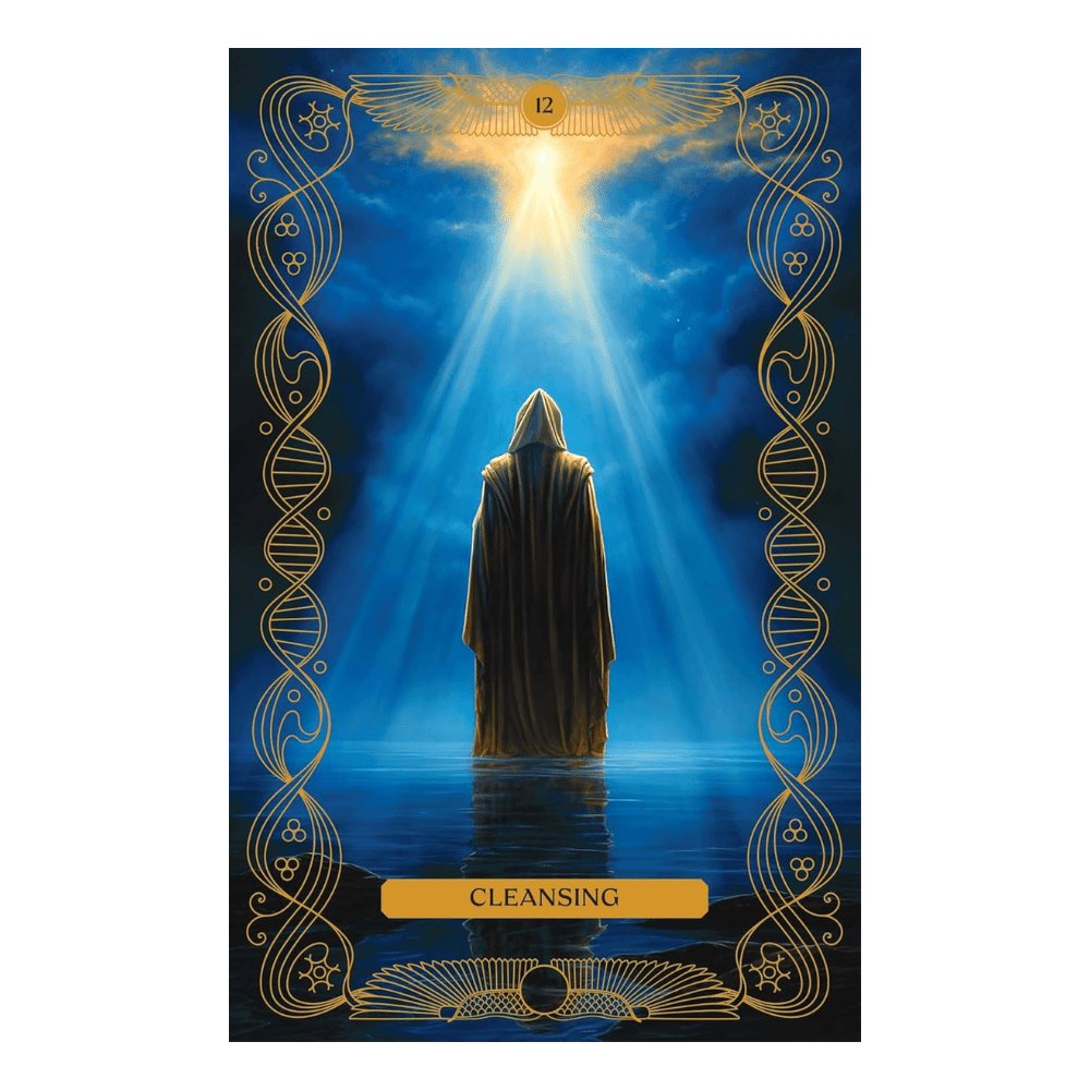 What We've Forgotten Oracle Deck by Amy Miranda oracle card deck