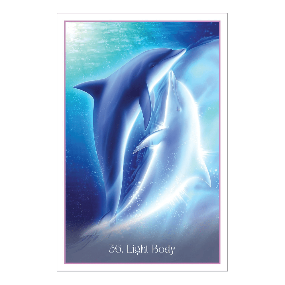 Whispers of the Dolphin Heart by Angela Hartfield oracle card deck