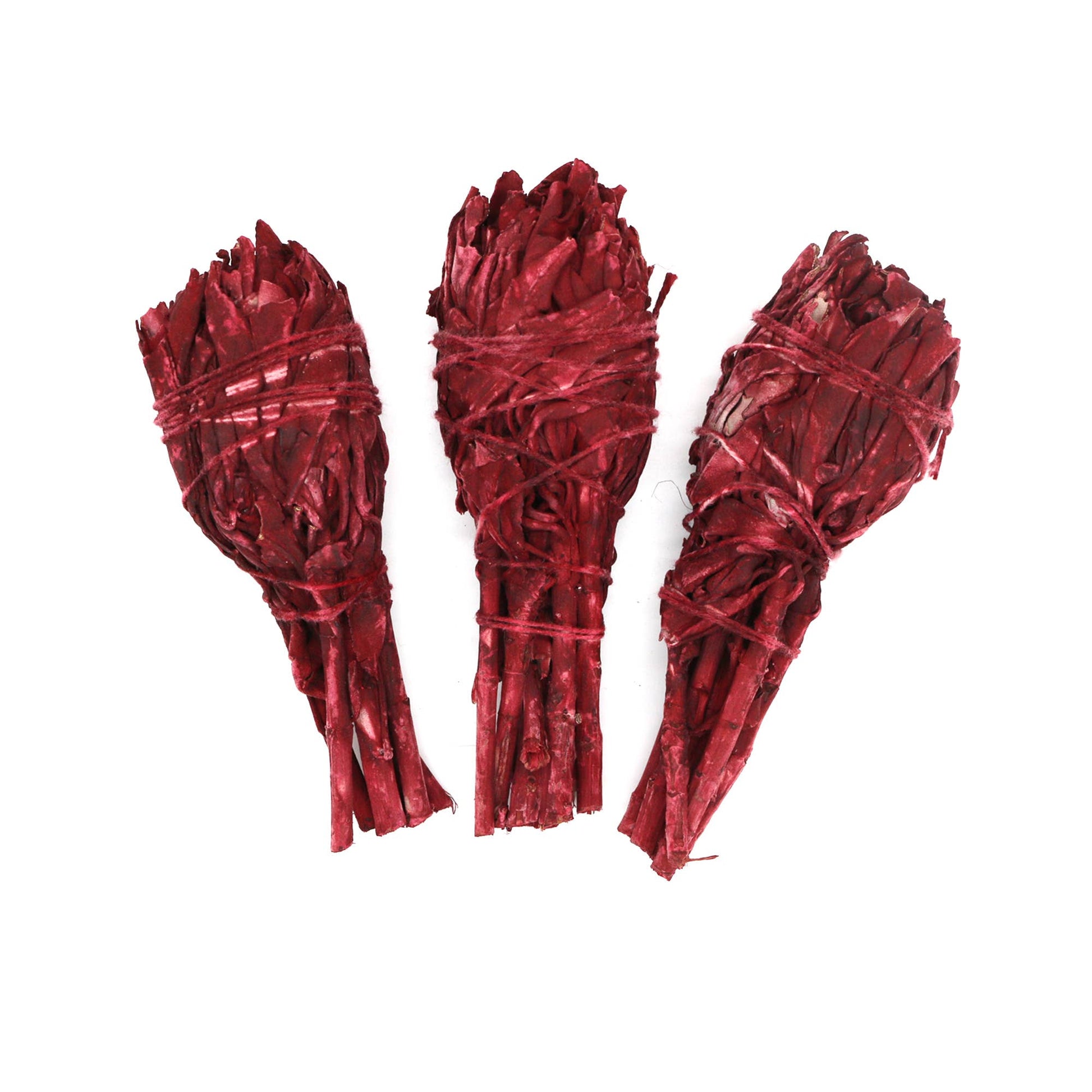 Dragon's Blood Sage Torch product image