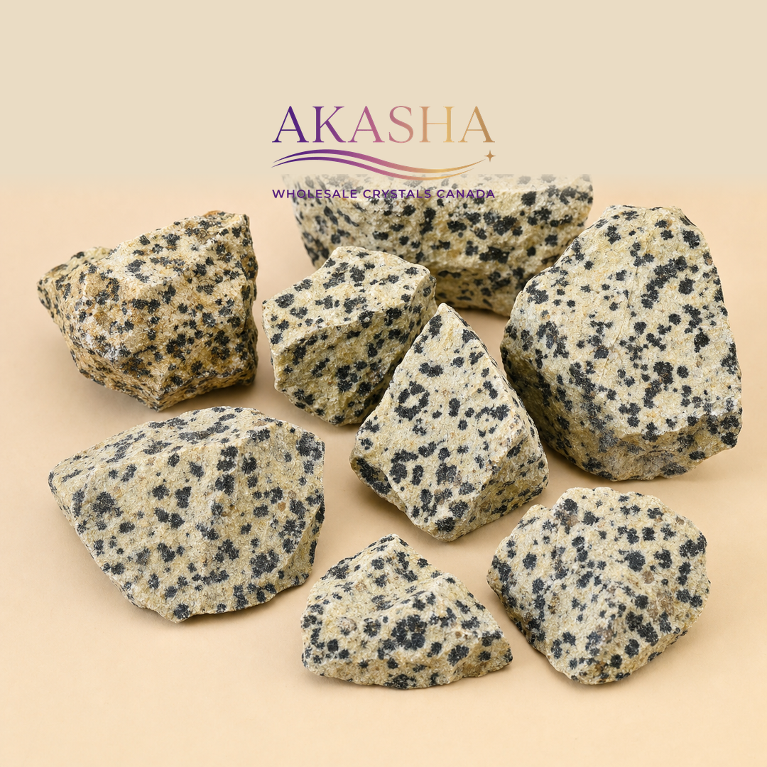 dalmatian jasper raw crystals available at Akasha Wholesale Crystals Canada