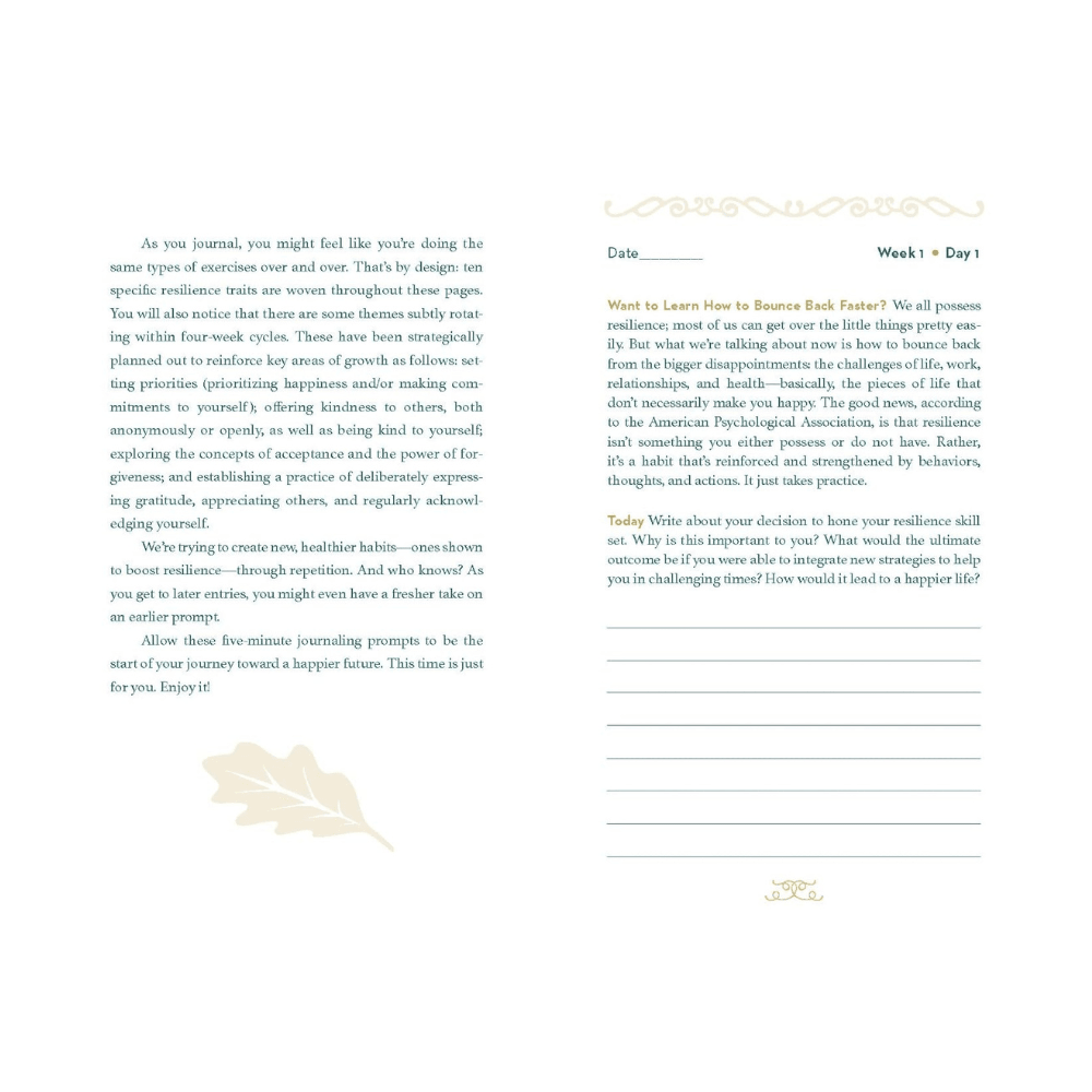 Resiliency Journal by nuggets of the latest guided journal
