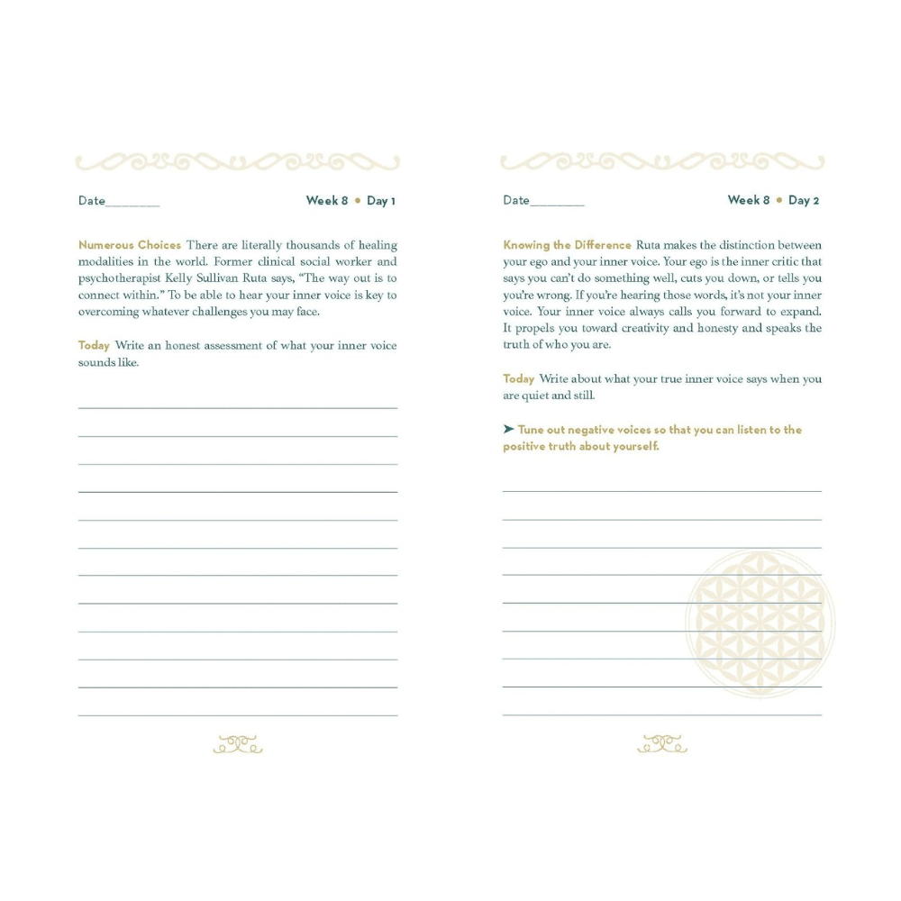 Resiliency Journal by nuggets of the latest guided journal