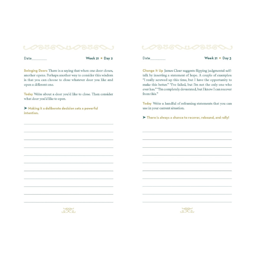 Resiliency Journal by nuggets of the latest guided journal
