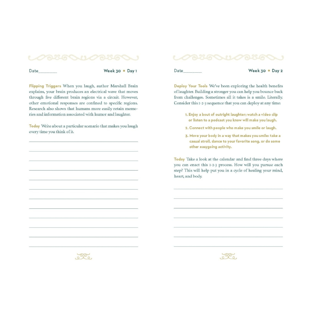 Resiliency Journal by nuggets of the latest guided journal