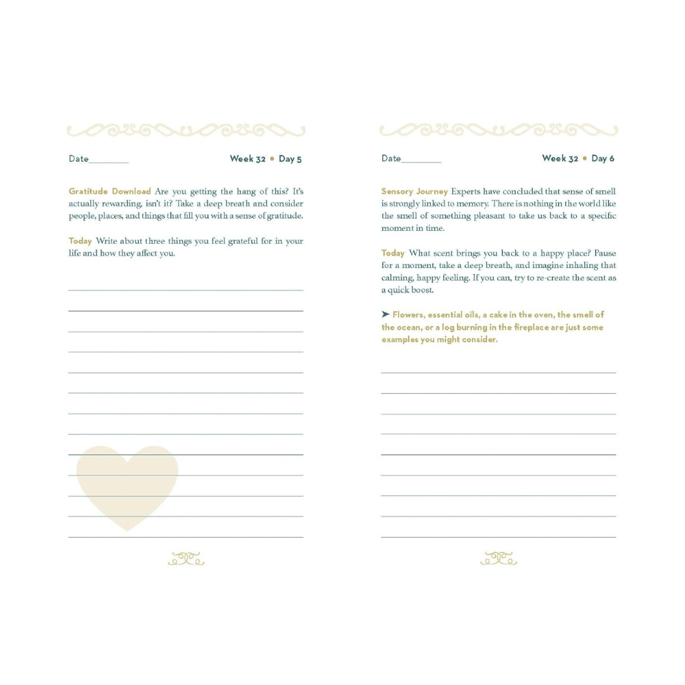 Resiliency Journal by nuggets of the latest guided journal