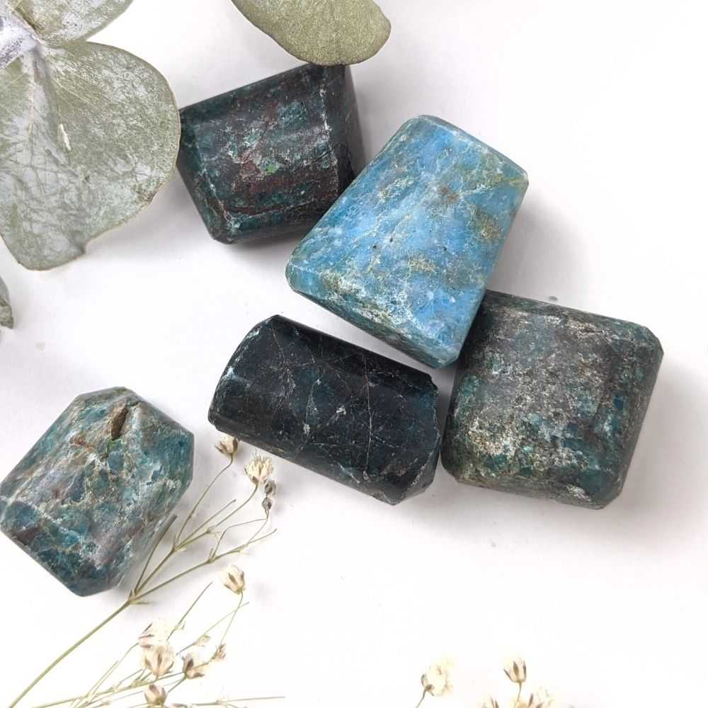 Blue Apatite Tumbles - Zen Collection