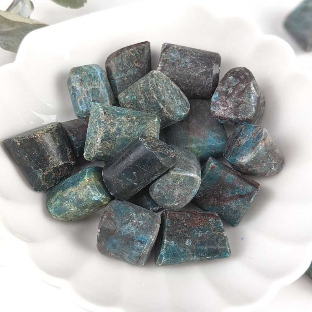 Blue Apatite Tumbles - Zen Collection