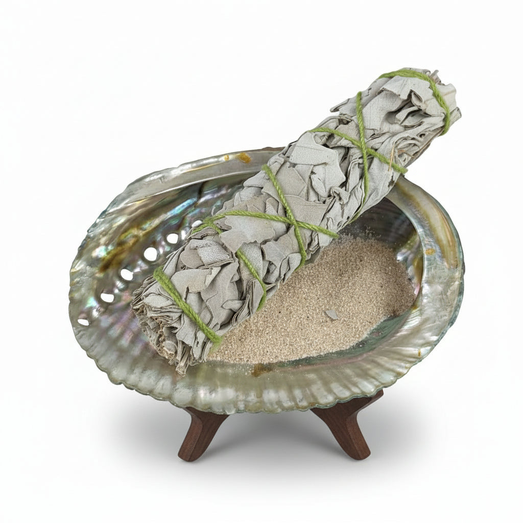 abalone smudging shell 4-5 inch bulk supplier Canada