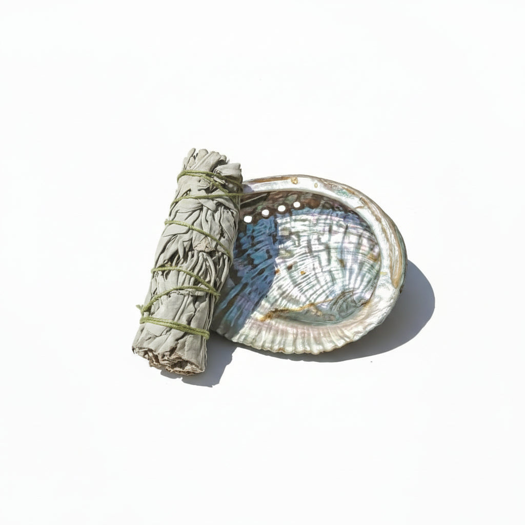 abalone smudging shell 4-5 inch ritual product wholesale Canada