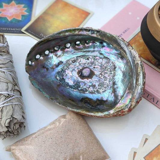 abalone smudging shell 5-7 inch wholesale Canada