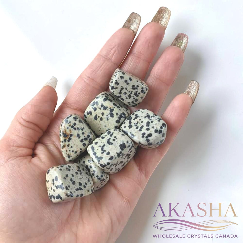 Dalmatian Jasper Tumbles - Zen Collection