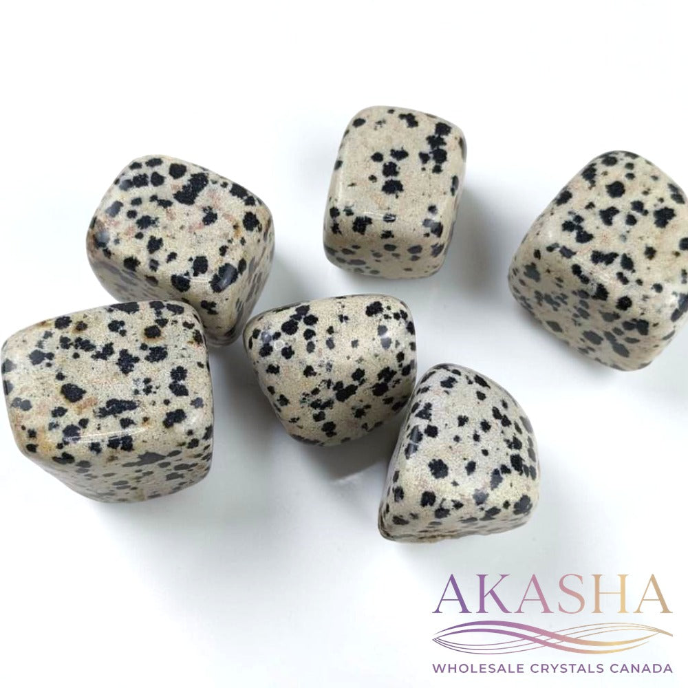 Dalmatian Jasper Tumbles - Zen Collection