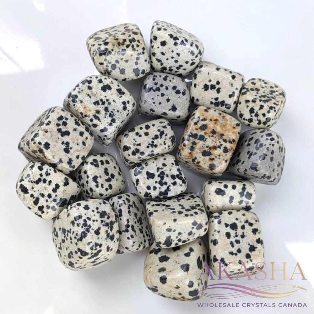 Dalmatian Jasper Tumbles - Zen Collection