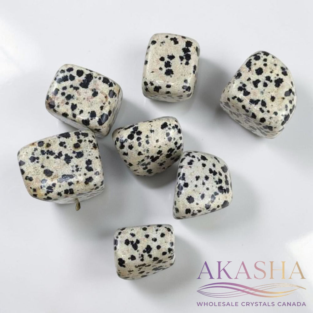 Dalmatian Jasper Tumbles - Zen Collection