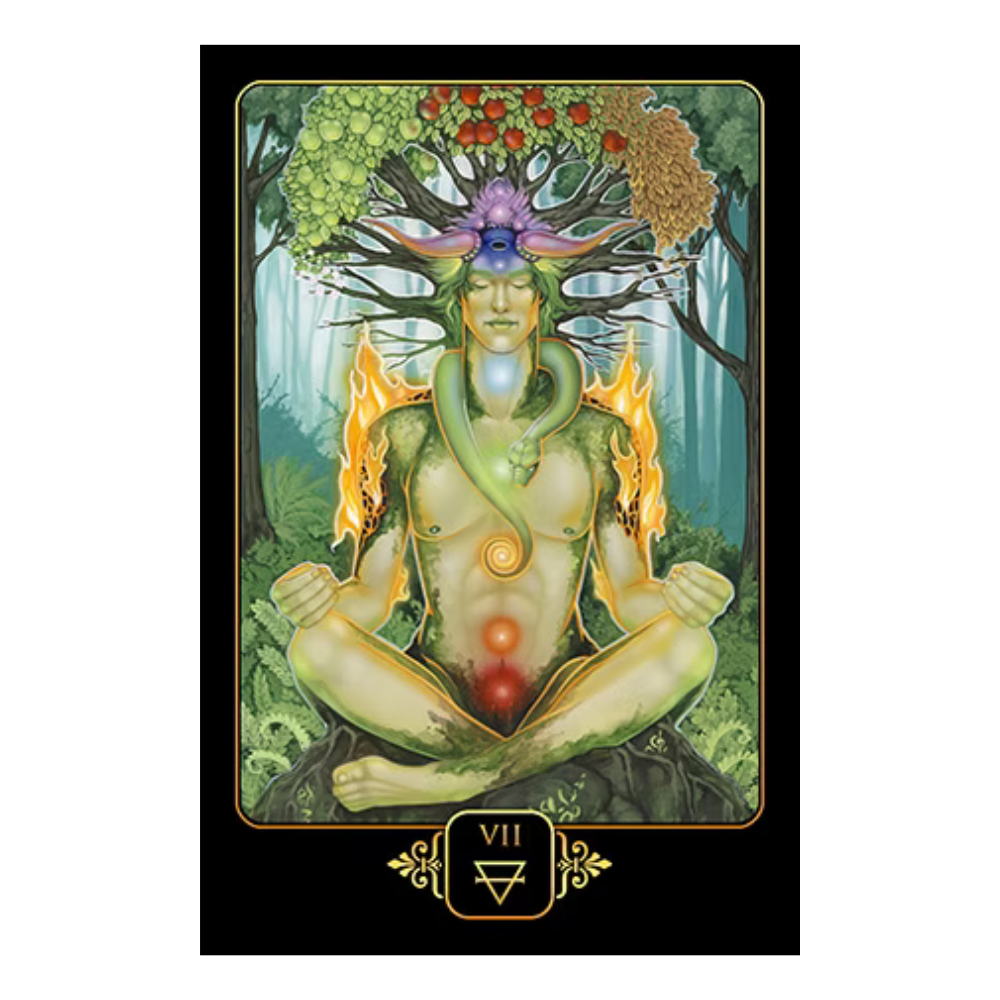 Dreams of Gaia Tarot Pocket Edition tarot deck