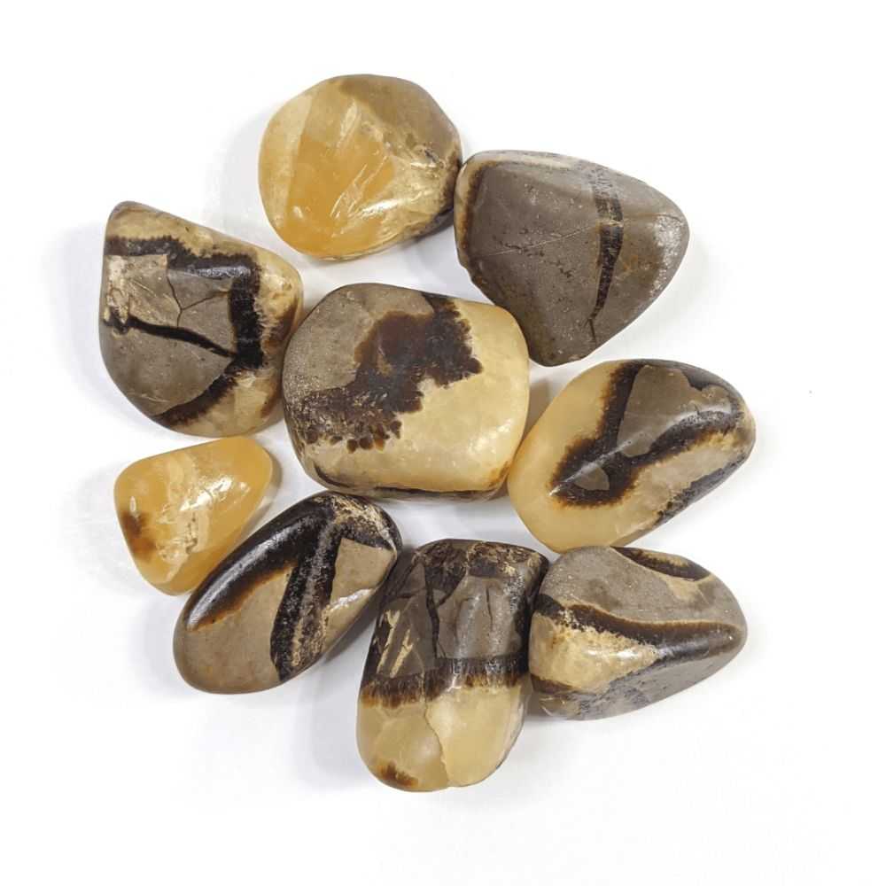 Septarian Tumbles product image