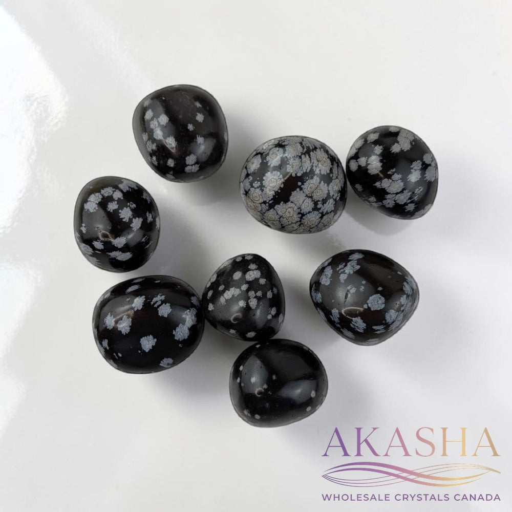 Snowflake Obsidian Tumbles - Zen Collection