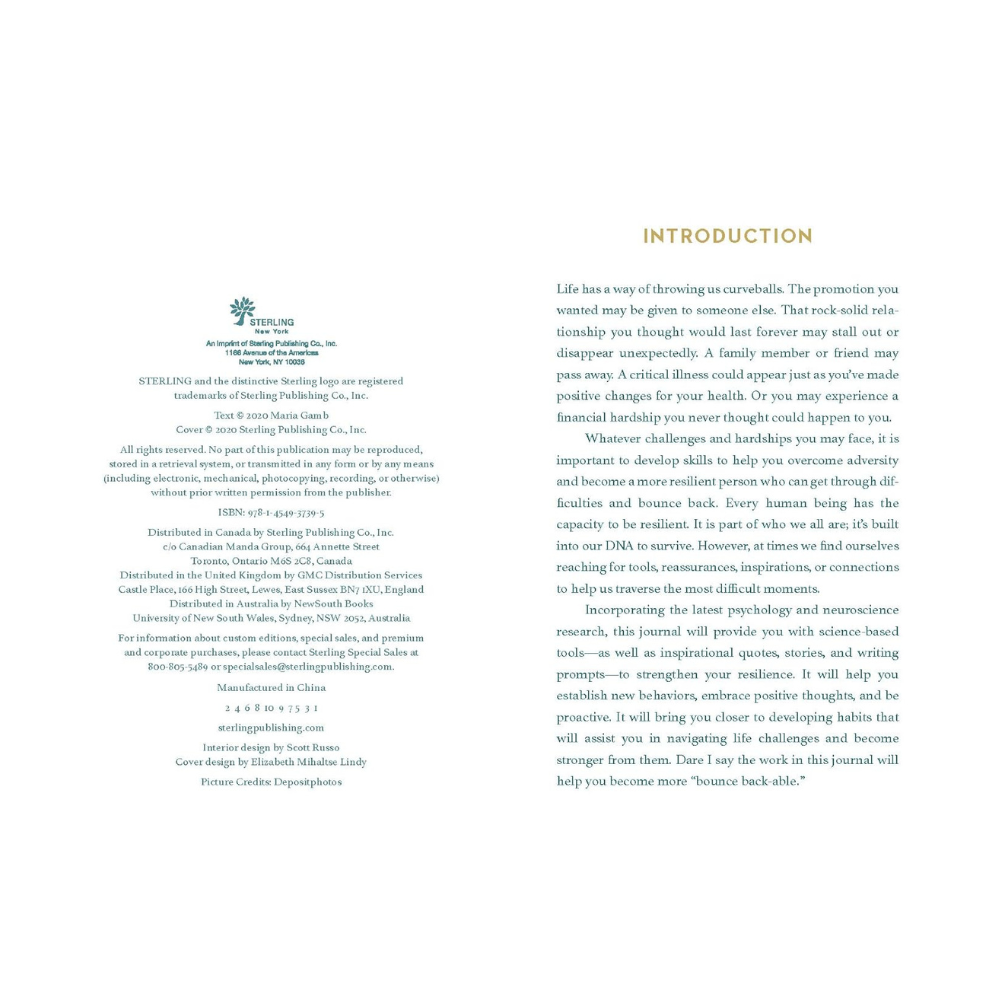 Resiliency Journal by nuggets of the latest guided journal
